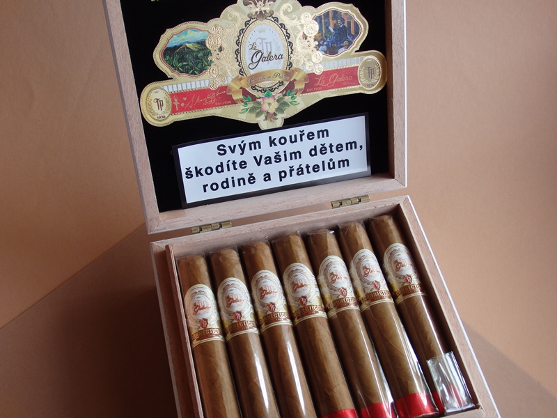 doutníky La Galera Connecticut Chaveta Robusto /20