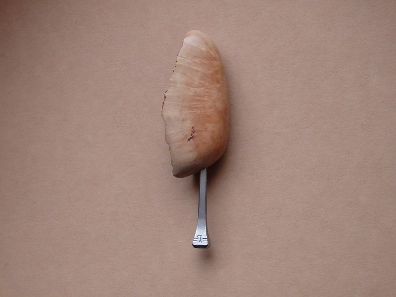 dusátko dýmkové Briar