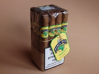 doutníky Marca Fina Brasil Churchill /16